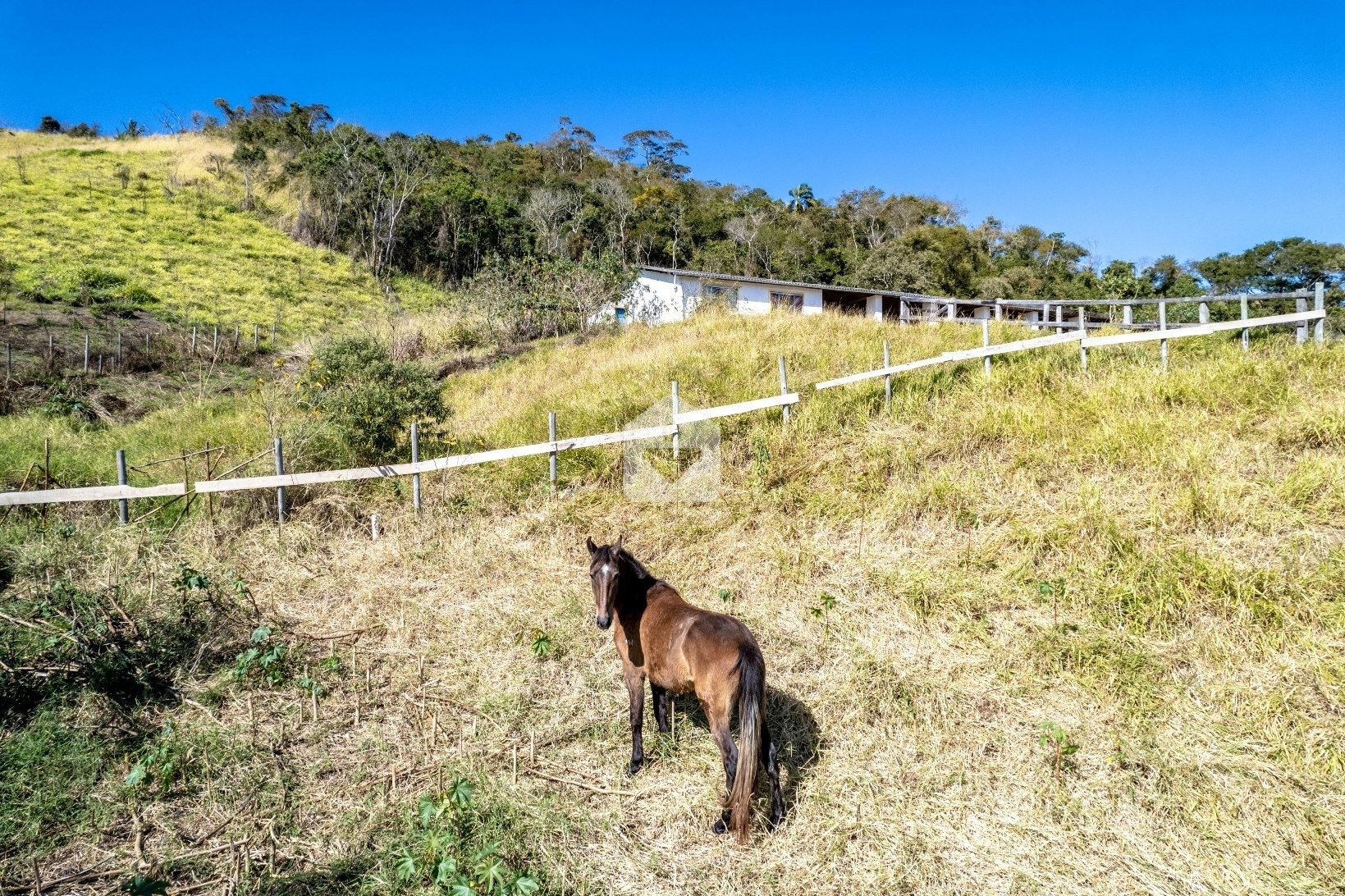 comprar fazenda